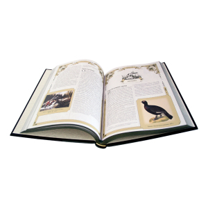 Подарочный набор "Охота" с книгой "Большая книга русской охоты" и панно